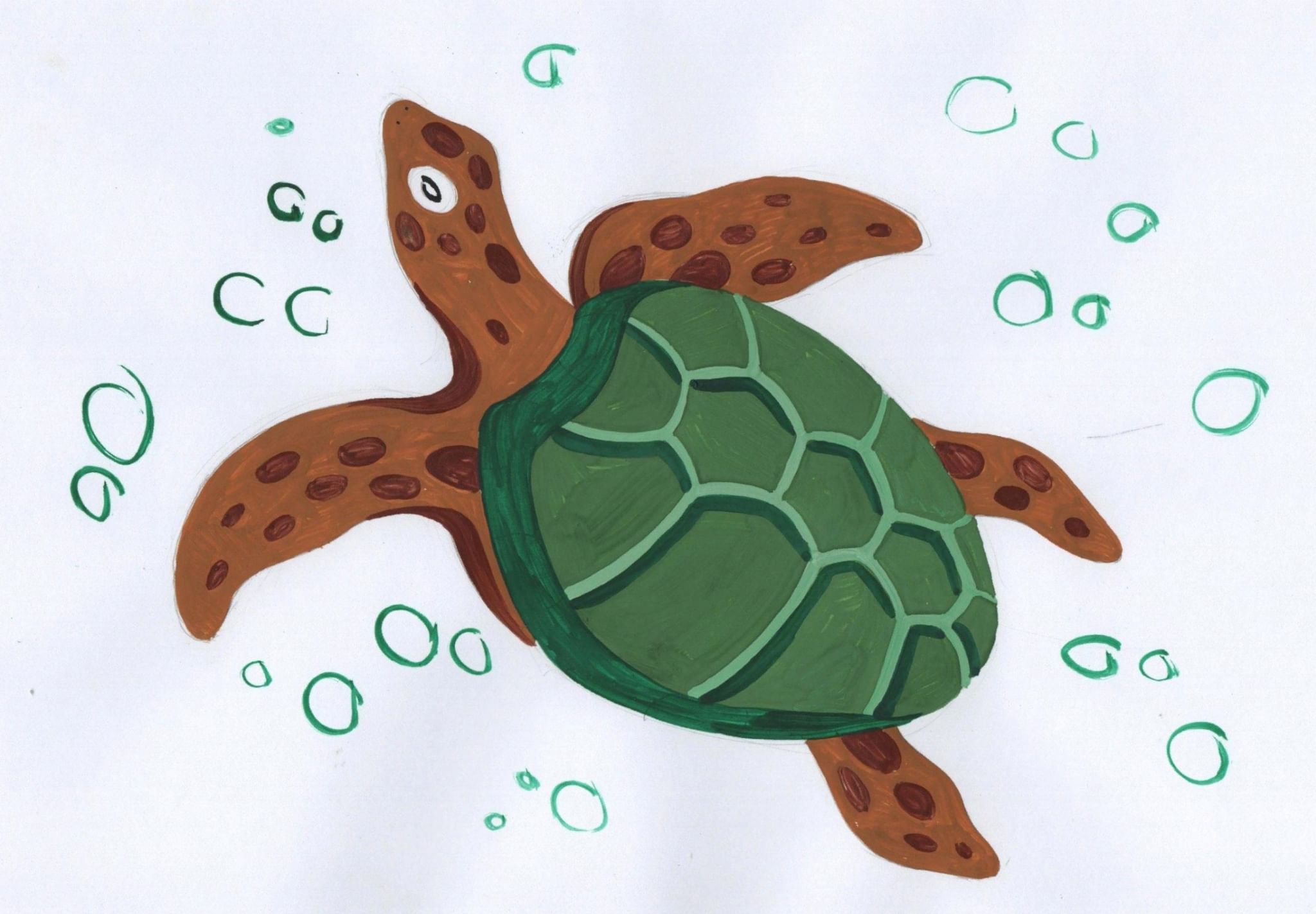 Морская черепаха рисунок для детей