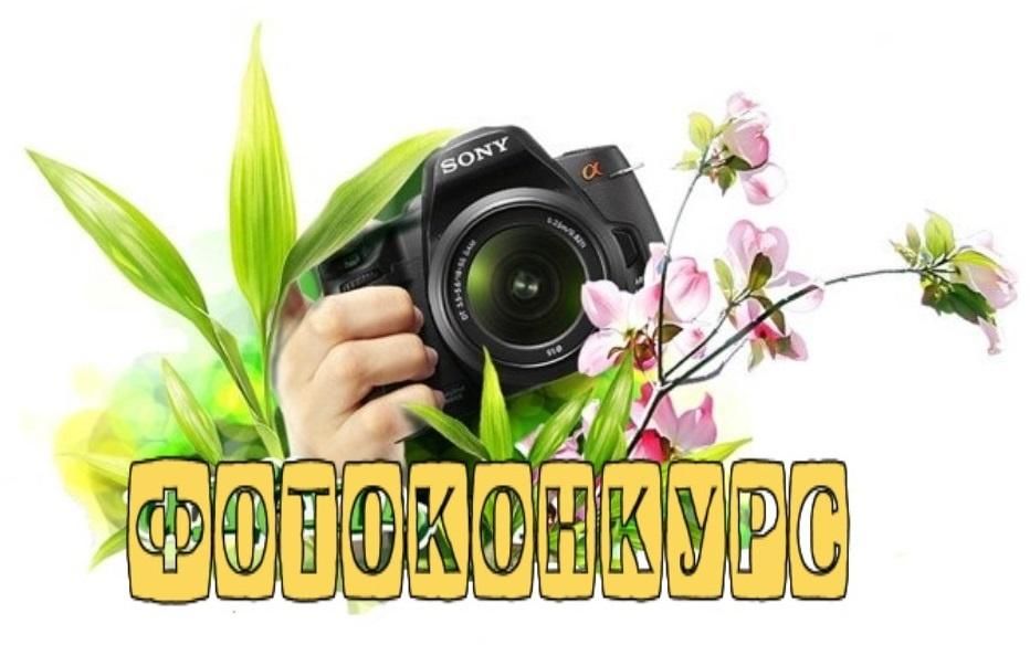 Конкурс апрель май. Весенний фотоконкурс. Конкурс фотографий. Внимание фотоконкурс. Внимание конкурс фотографий.