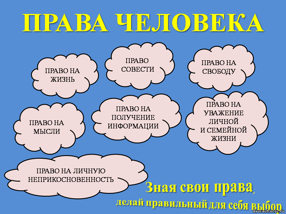 Твои права твои обязанности картинки