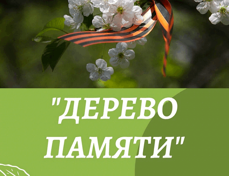 9 мая дерево. Дерево памяти акция. Дерево памяти на 9 мая. Дерево памяти надпись. Дерево памяти картинка.