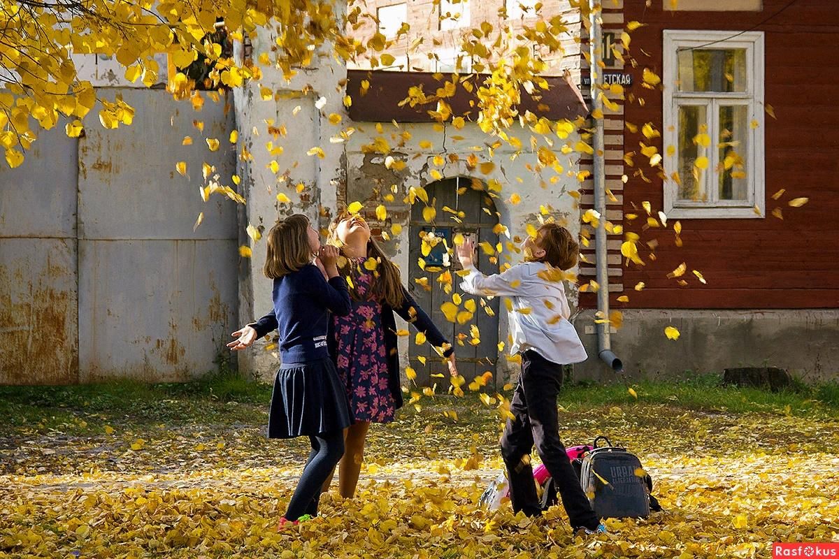 Когда в школу после осенних. Осень школа. Дети идут в школу осенью. Школа осенью. Школьники осень.