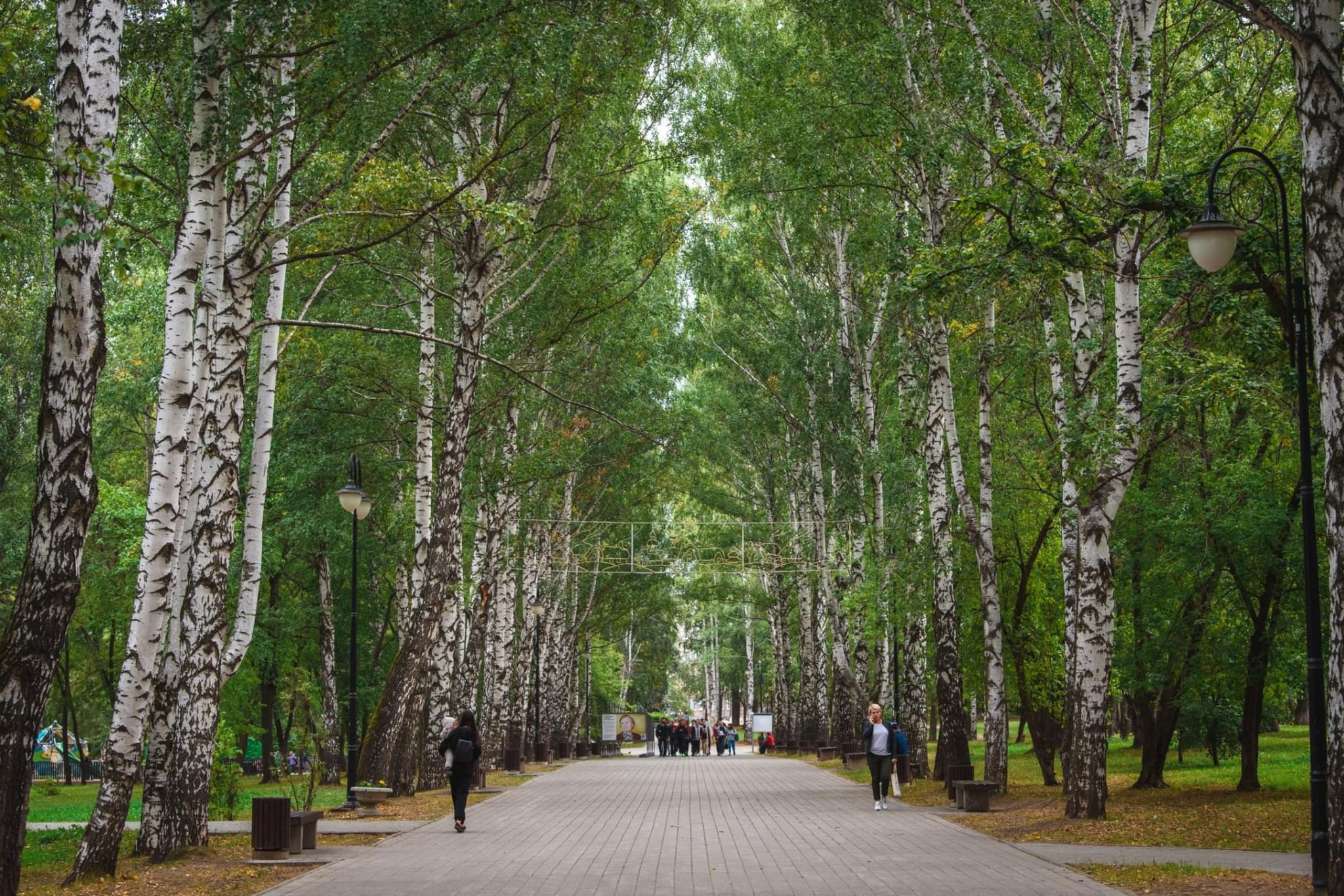 парки перми зимой