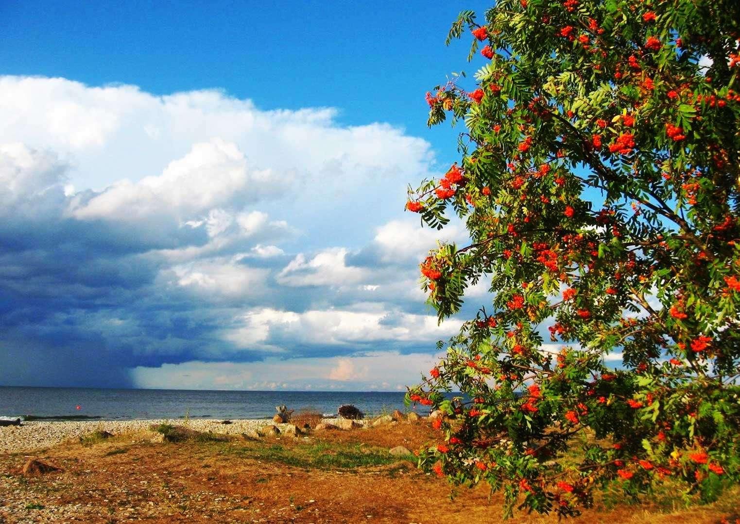 Месяц серпень по русски. Август природа. Конец августа природа. Лето август природа. Август пейзаж.