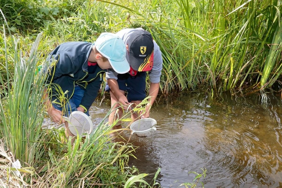 Вода смерть или жизнь исследование качества воды в водоемах и водопроводе проект