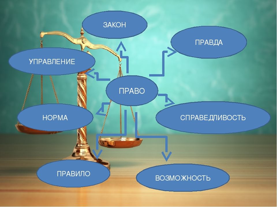Роль закона. Право и общество. Роль права в обществе. Роль права в жизни человека общества и государства. Роль права в жизни общества.