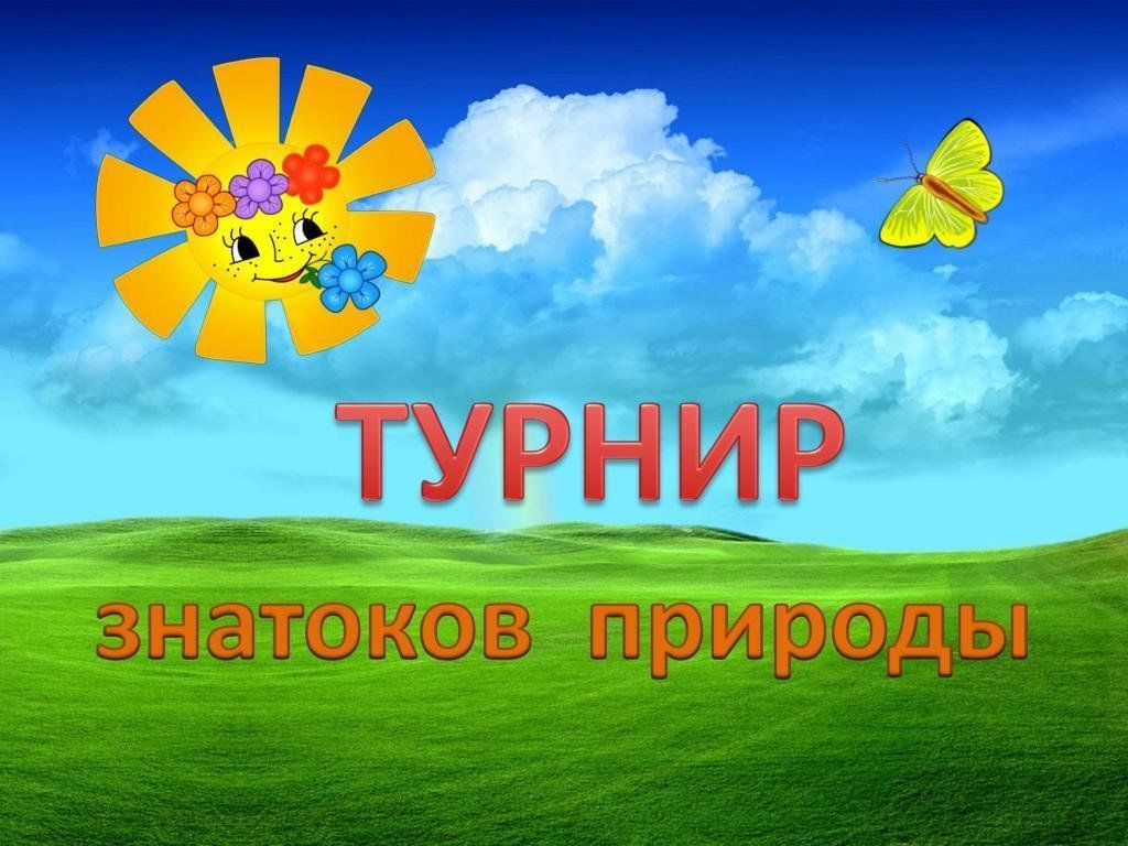 Турнир знатаков природы «На лесных тропинках» 2024, Сергиевский район —  дата и место проведения, программа мероприятия.