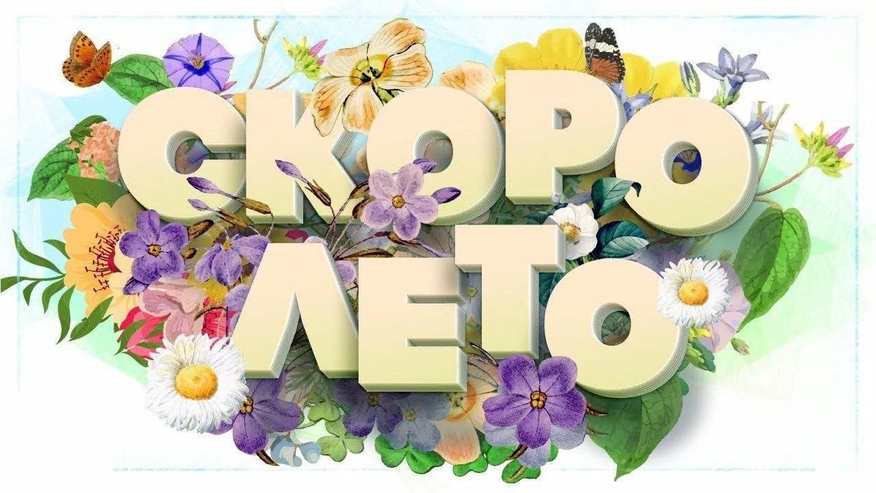 Ура скоро лето картинки