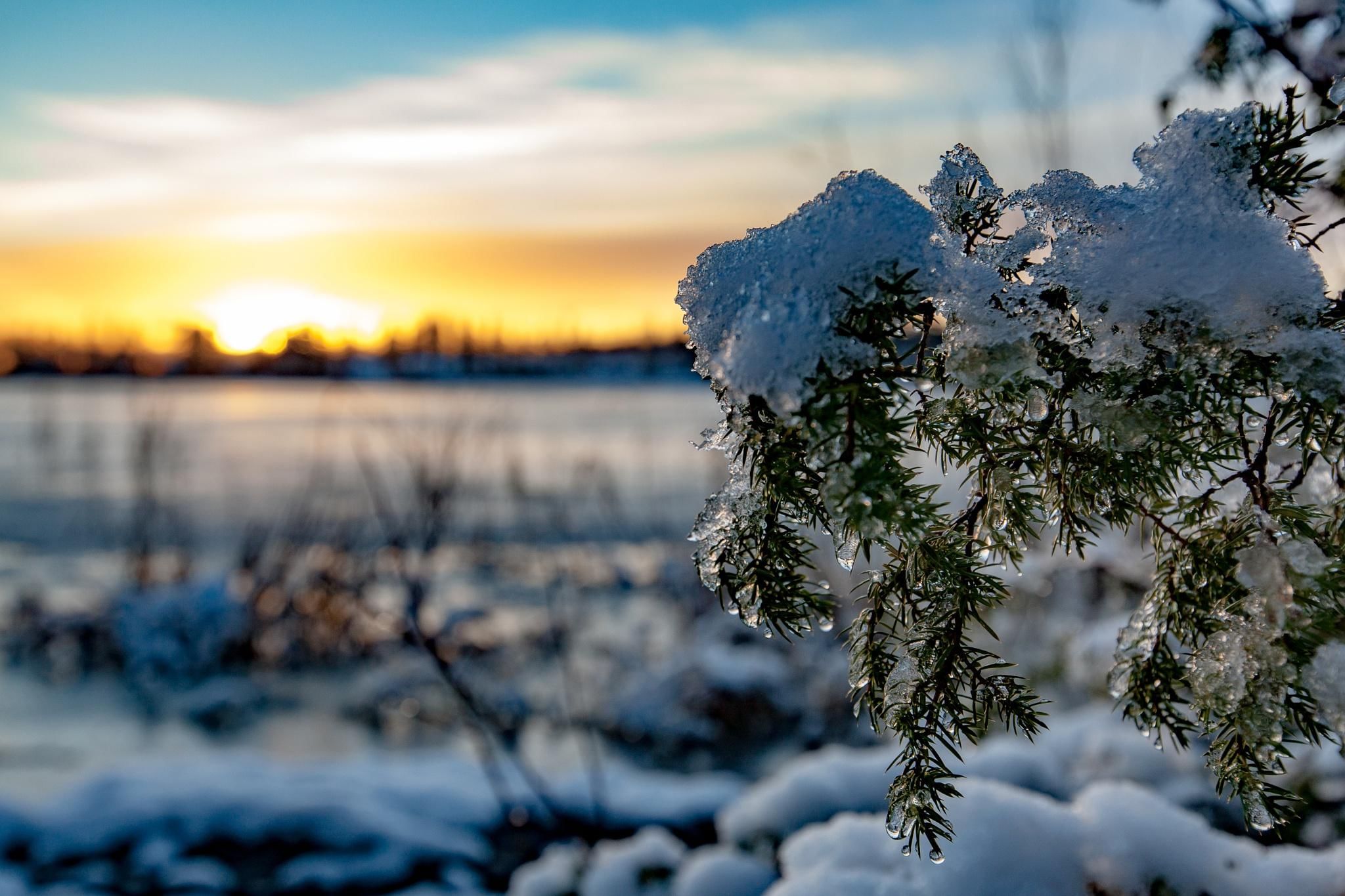 Февраль первое картинки. Февраль природа. Снег и солнце. Февральский пейзаж. Солнечный зимний день.