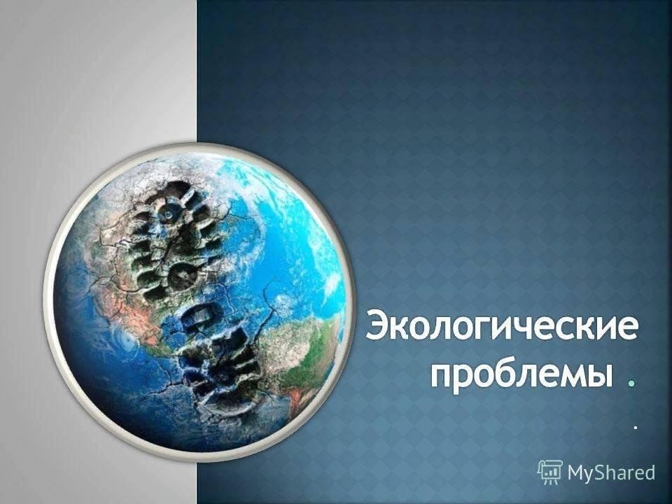 Экологическая проблема современности проект