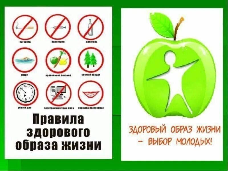 Как выглядит здоровый образ жизни