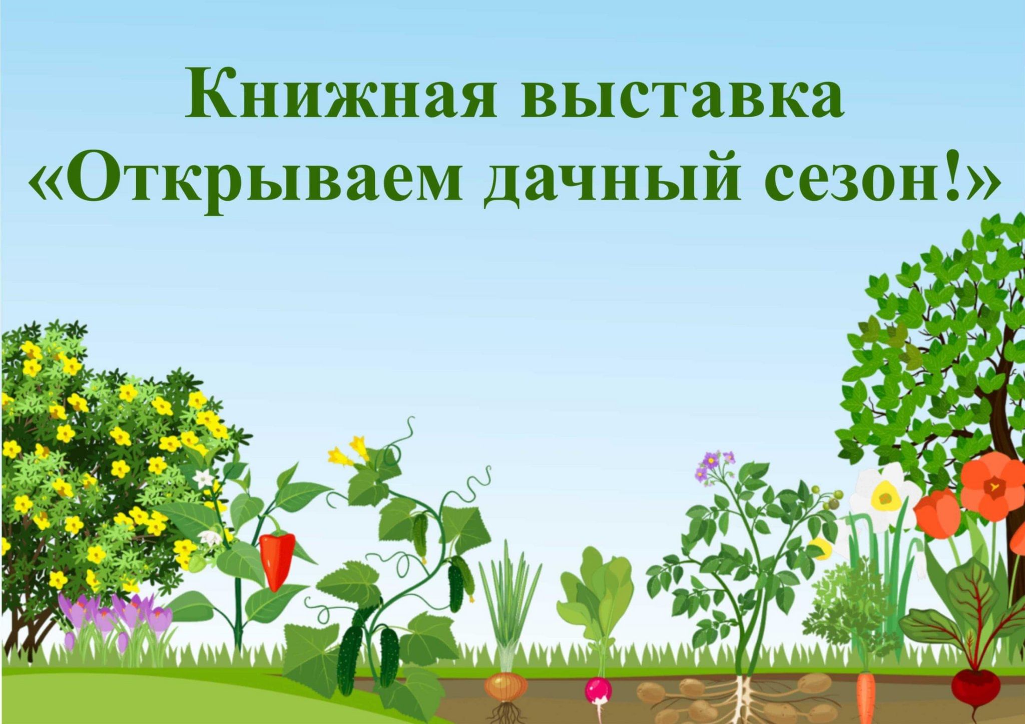 Фон огород