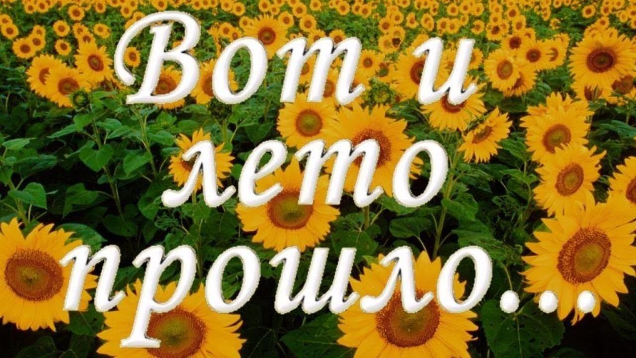 Вот и лето прошло прикол картинки