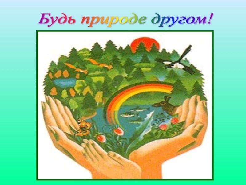Презентация проекта природа наш друг средняя группа