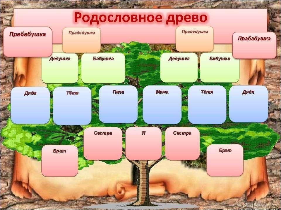 Как сделать проект моя родословная 5 класс