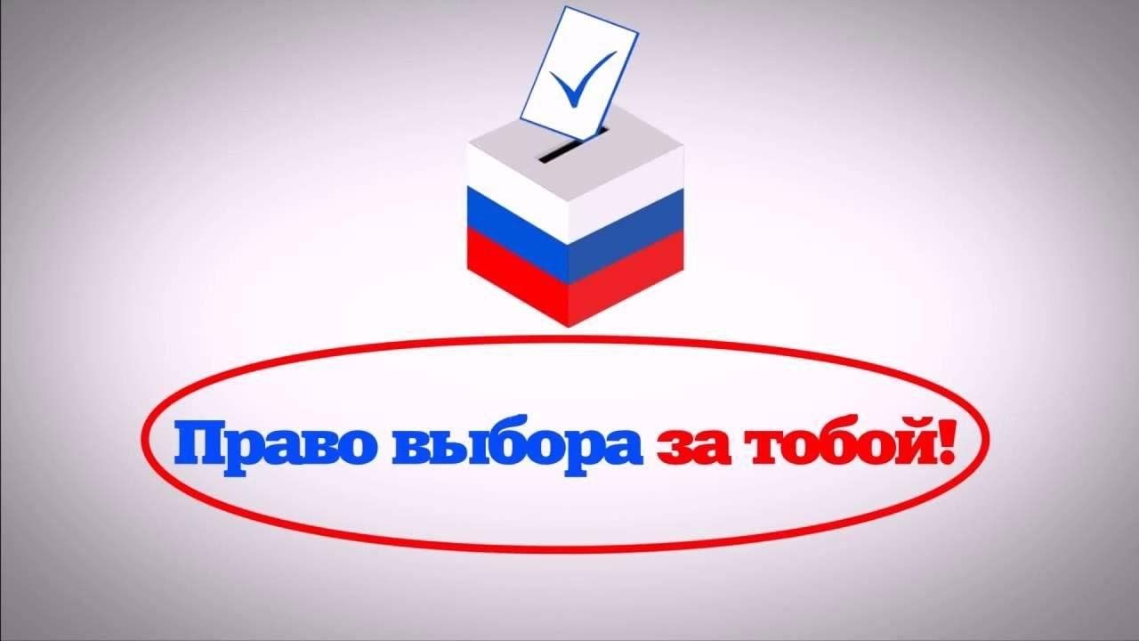 Презентация на тему выборы