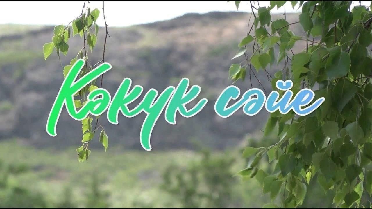 Кукушкин чай картинки