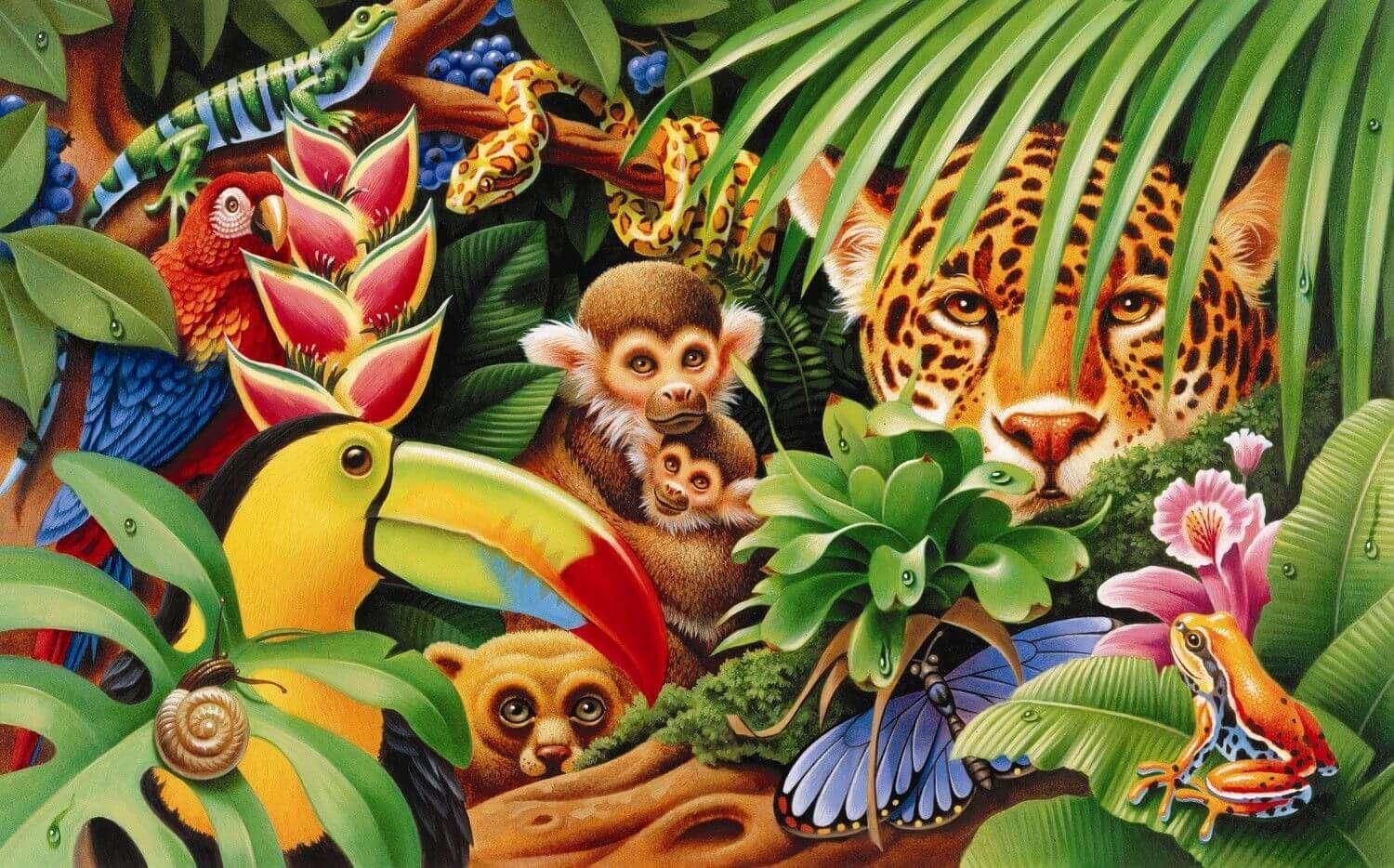 Обезьяна тигр змея. Животные джунглей. Обитатели джунглей для детей. Тропики для детей. Тропические животные для детей.