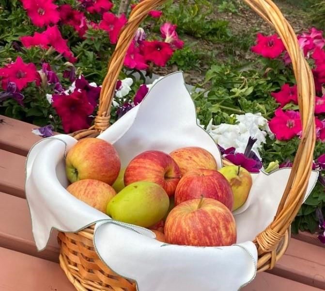 Яблоки аромат лета