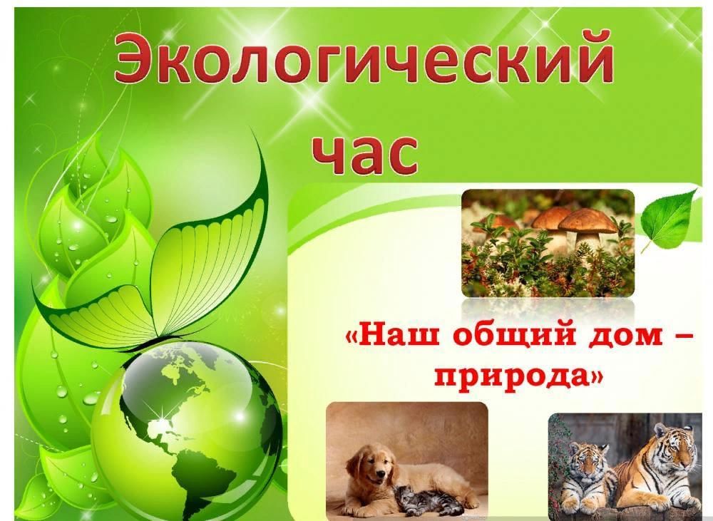 Класс час экология 1 класс презентация