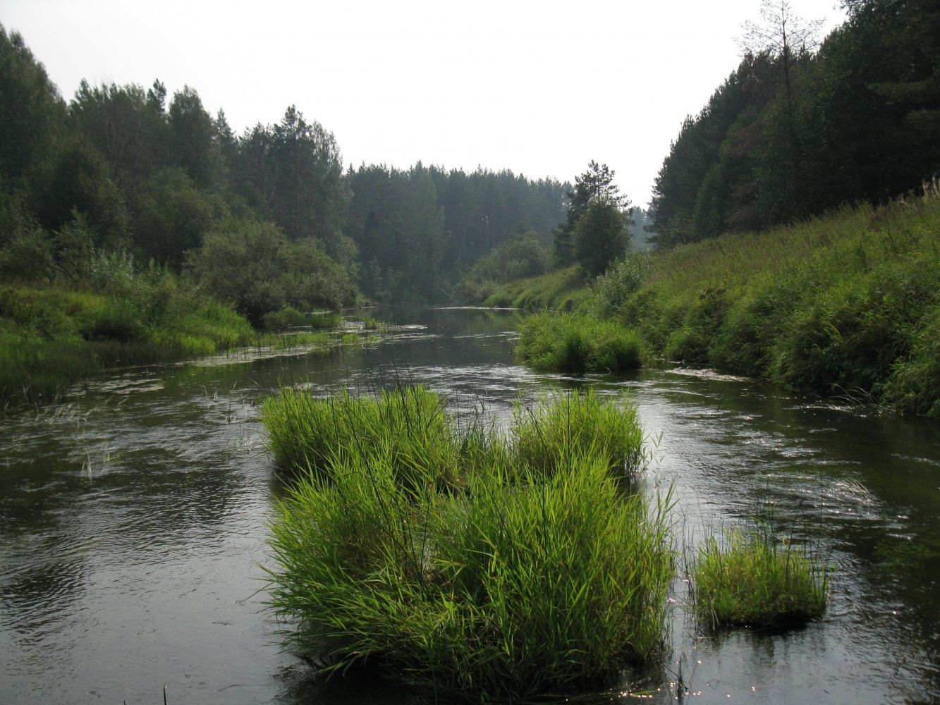 Река нея Костромская область