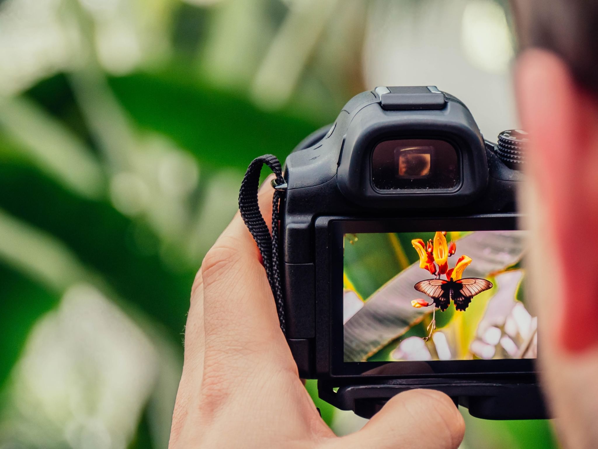 Фотографии для начинающих фотографов