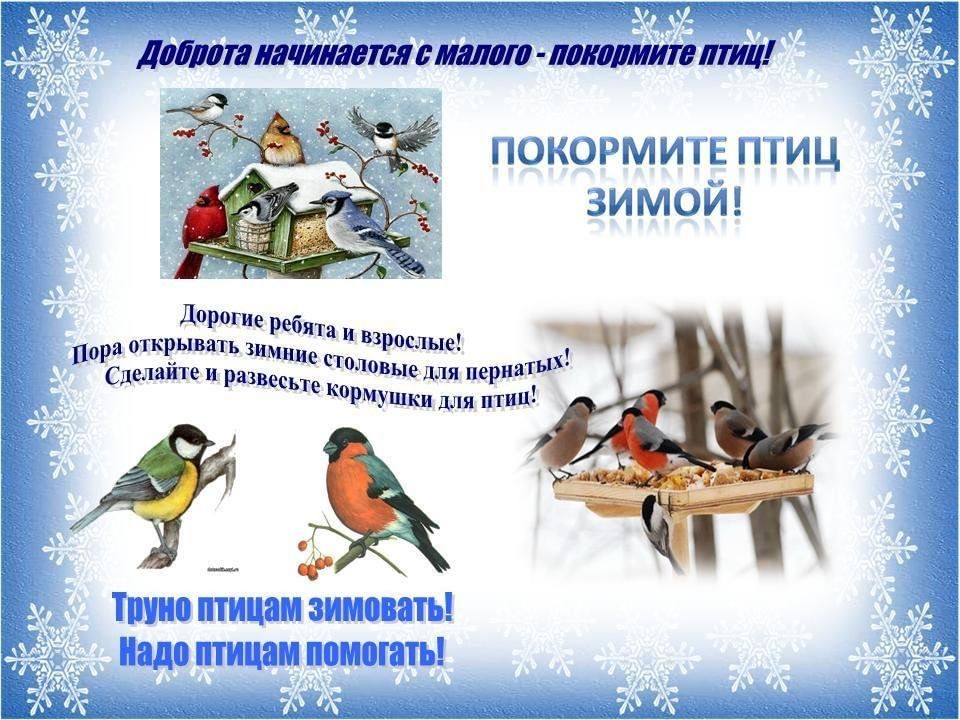 "Покормите птиц зимой!" Page 4 МБУК "Гуманитарный центр - библиотека имени семьи