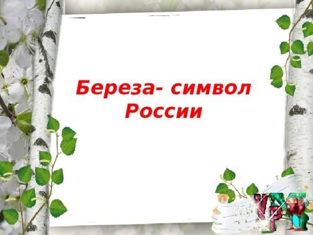 Береза символ россии презентация