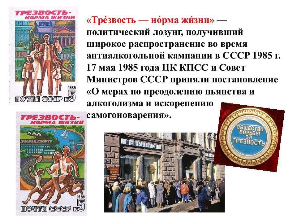 Трезвость норма жизни картинки