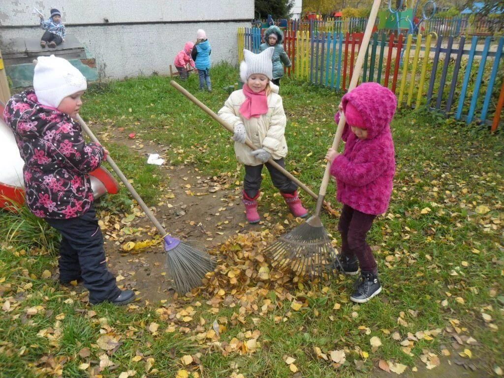 Картинка труд в природе в детском саду