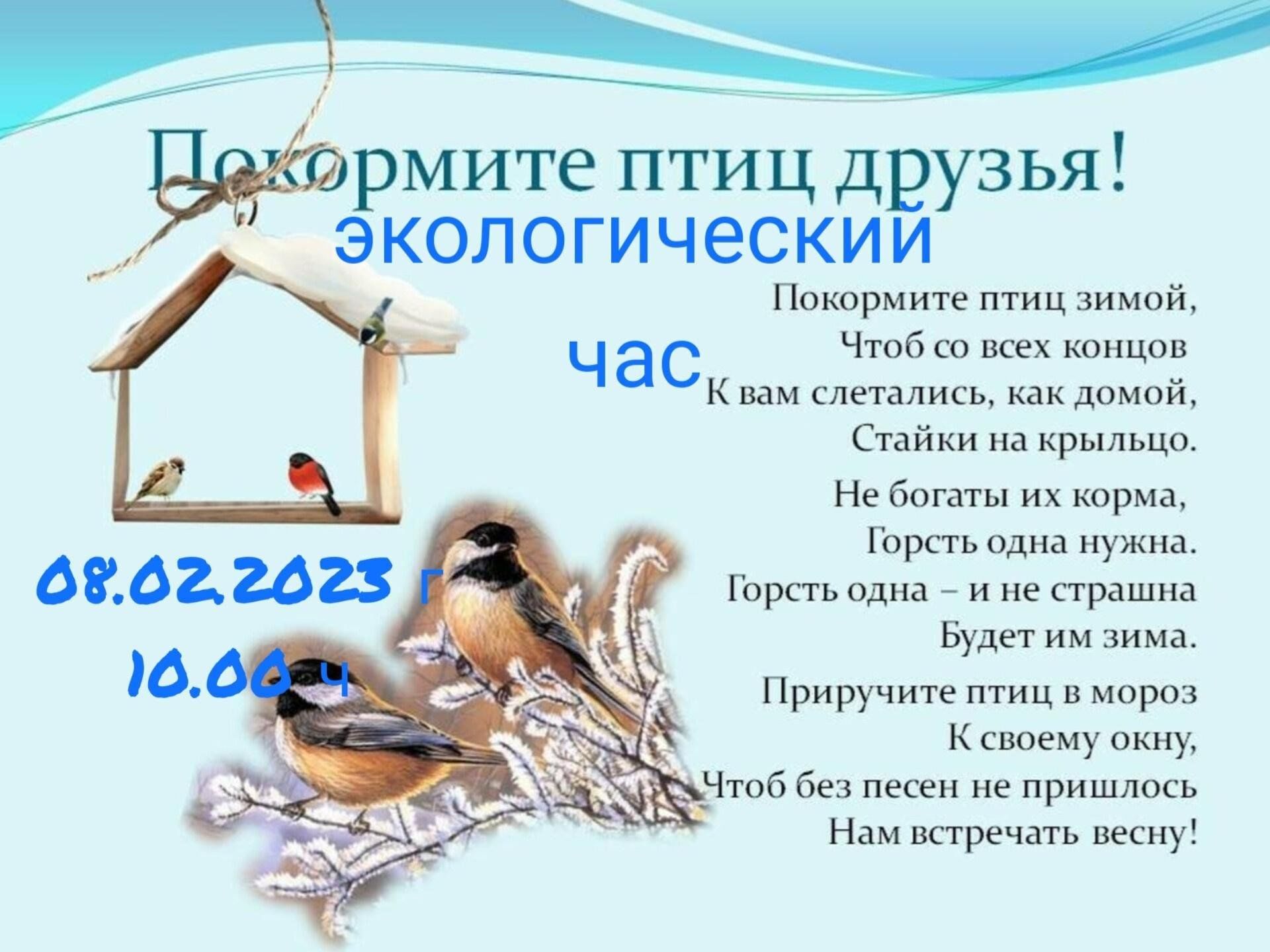 Проект покормите птиц зимой подготовительная группа