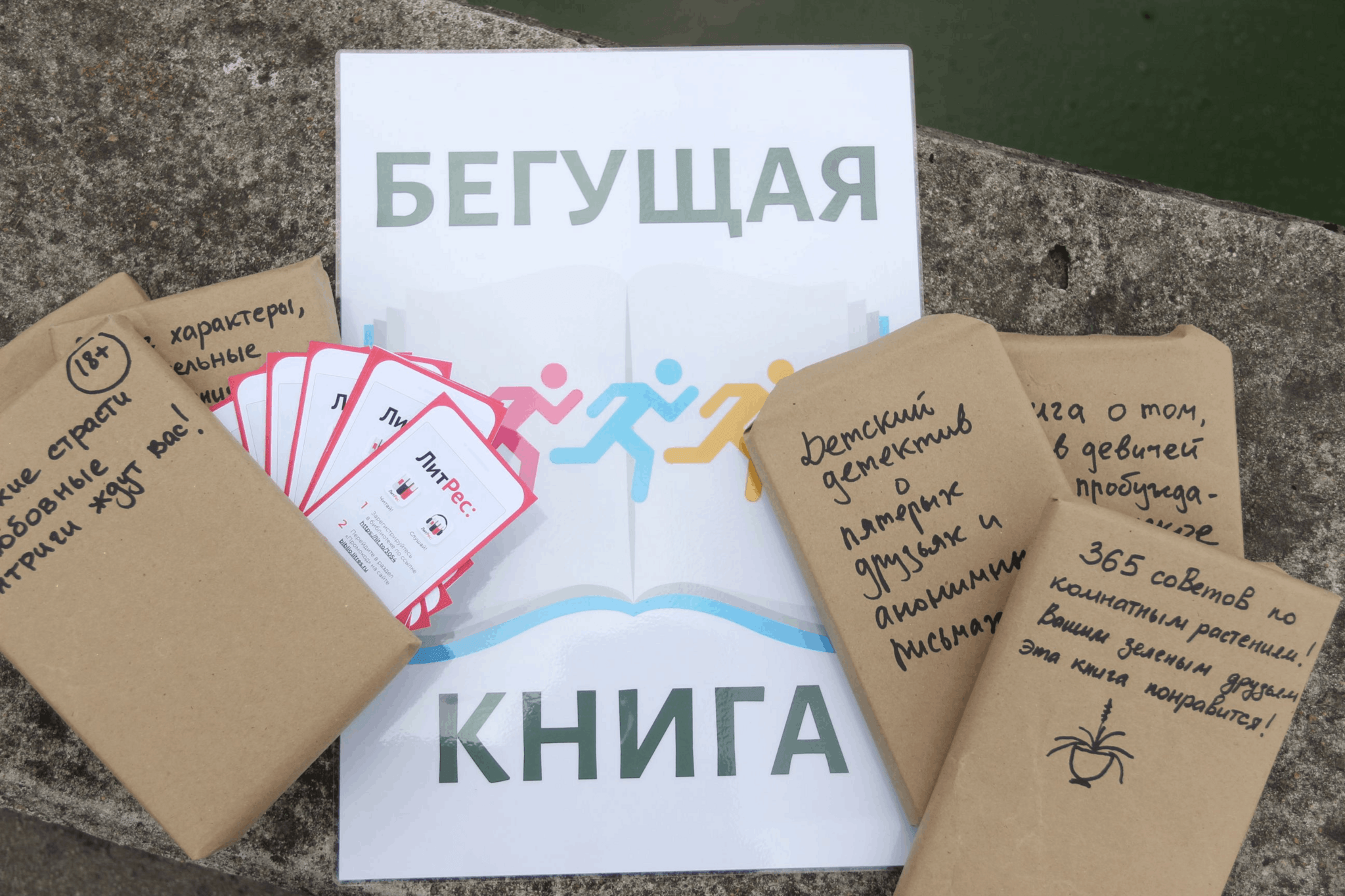 Проект бегущая книга