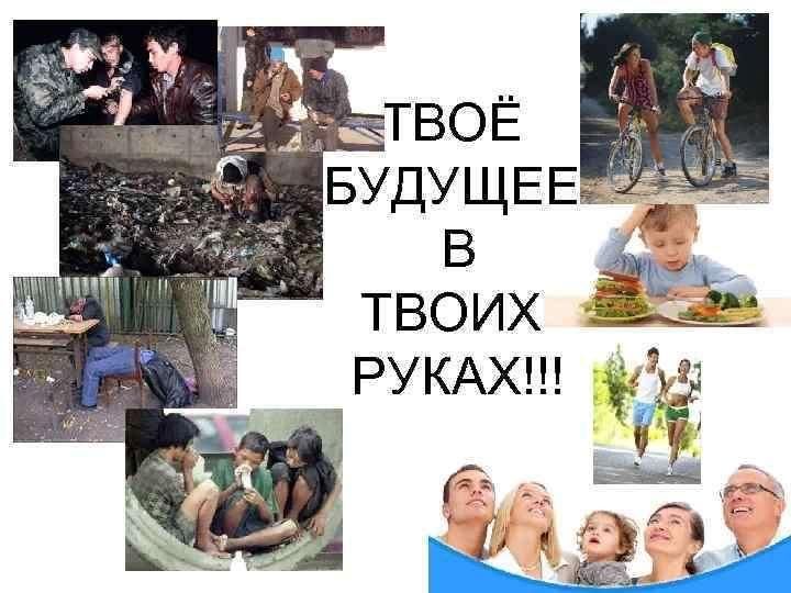 Проект жизнь в твоих руках