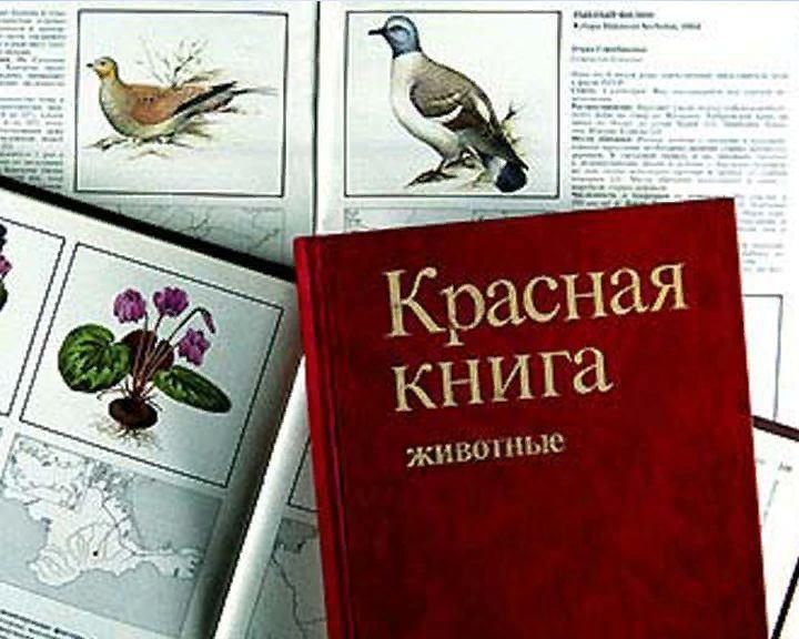 Красная книга изображение