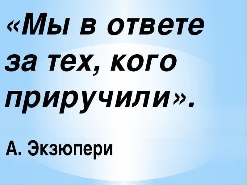 Кому вы это рассказываете. Мы в ответе за тех кого приручили. Мы.в.ответе за тех кого пр ручили. Мы в ответе за тех кого притручила. Мы в ответственности за тех кого приручили.