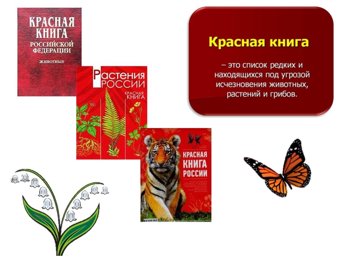 Лесная красная книга. Красная книга России. Растения красной книги России. Красная книга России животные обложка. Красная книга России картинки.