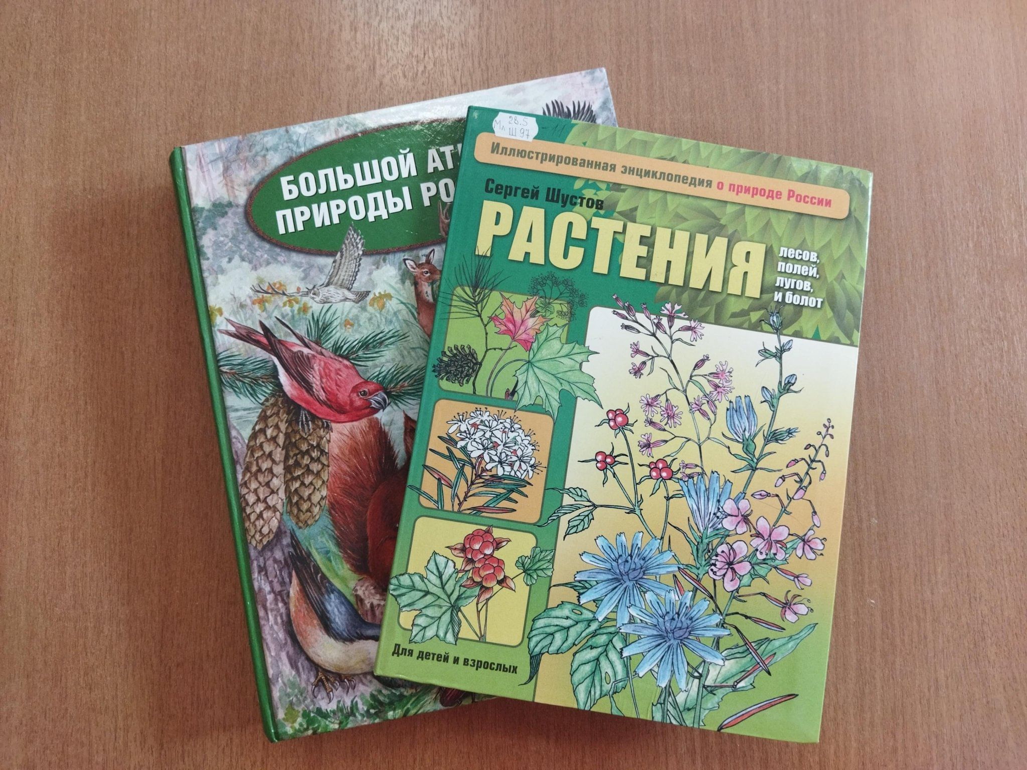 Программа «Как все взаимосвязано в природе» 2024, Старый Оскол — дата и  место проведения, программа мероприятия.