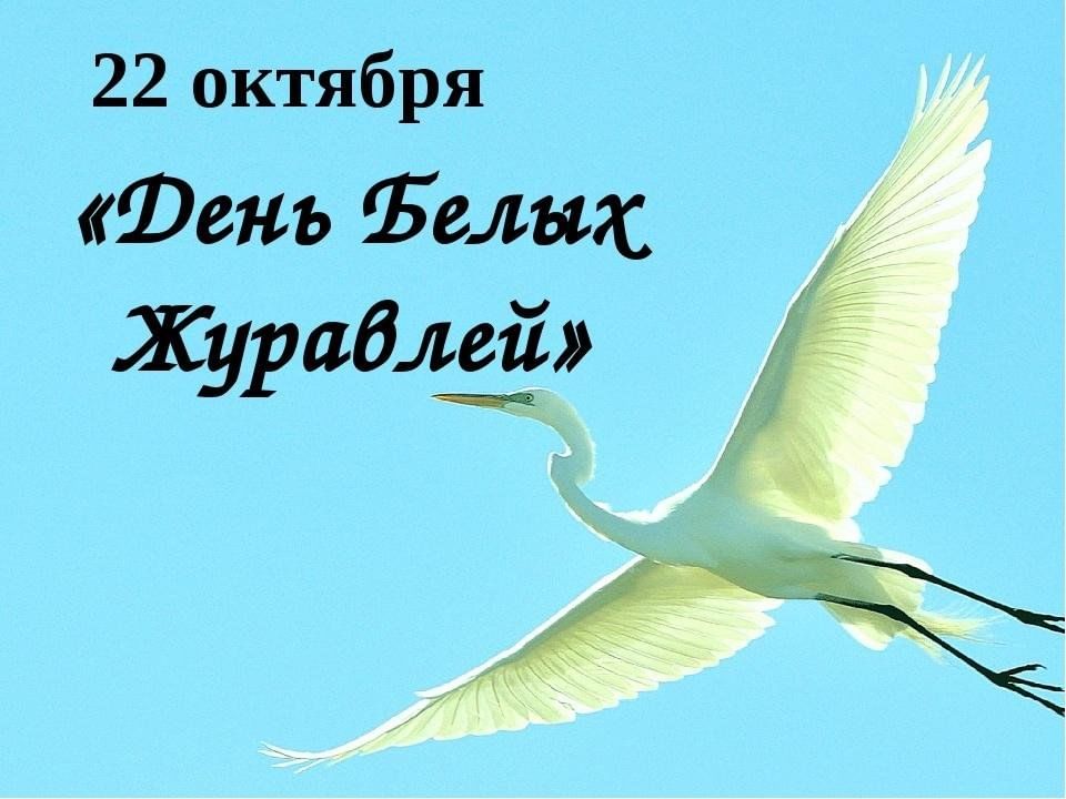 История праздника белых журавлей 22 октября. День белых журавлей. Праздник белых журавлей. Белые Журавли 22 октября. Литературный праздник белые Журавли