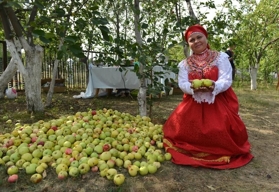 Когда яблочный. Яблочный спас Красновидово. Красновидово яблочный спас 2022. Музейно-фольклорный праздник «яблочный спас в селе Красновидово». Яблочный спас мероприятия.