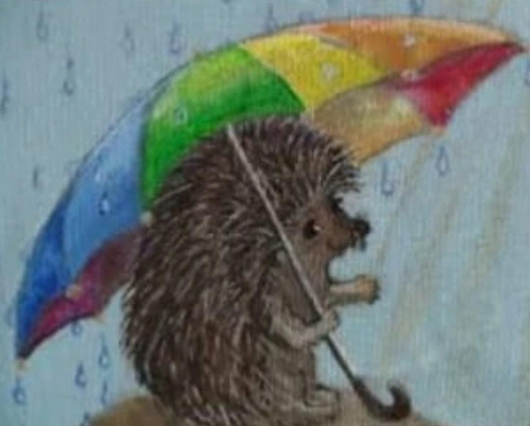 Ежик дождь. Ёжик с зонтиком. Еж под зонтом. Ежик рисунок. Еж и дождь.
