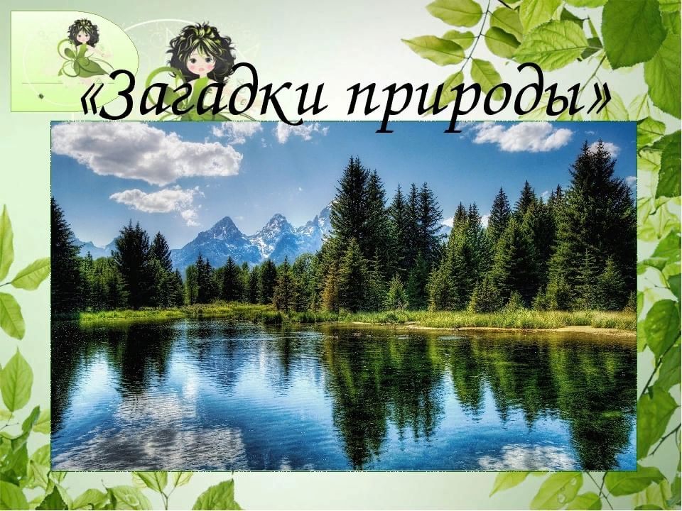 Загадки о природе картинки