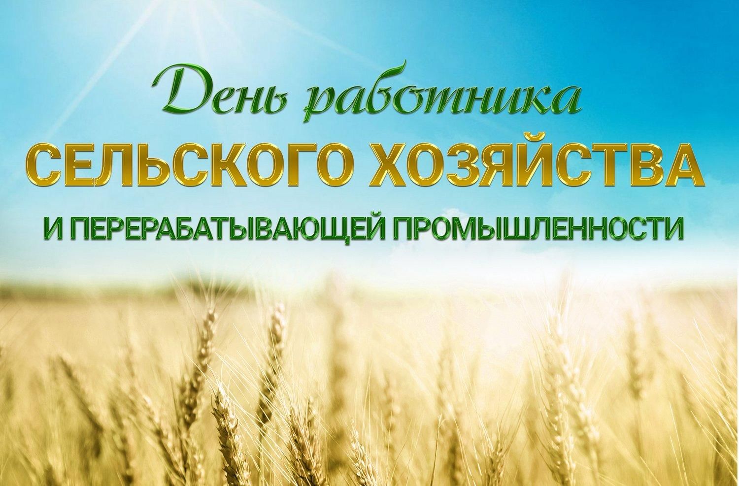 День сельского хозяйства и перерабатывающей промышленности фото День работников сельского хозяйства 2020, Лискинский район - дата и место провед