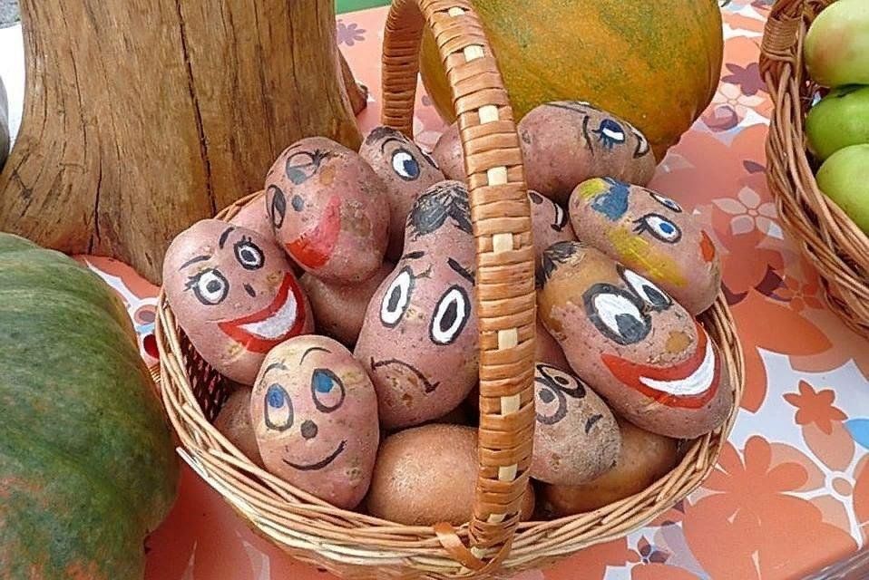 День картошки фото