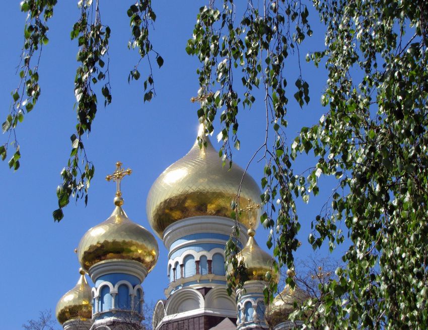 Березы и храм