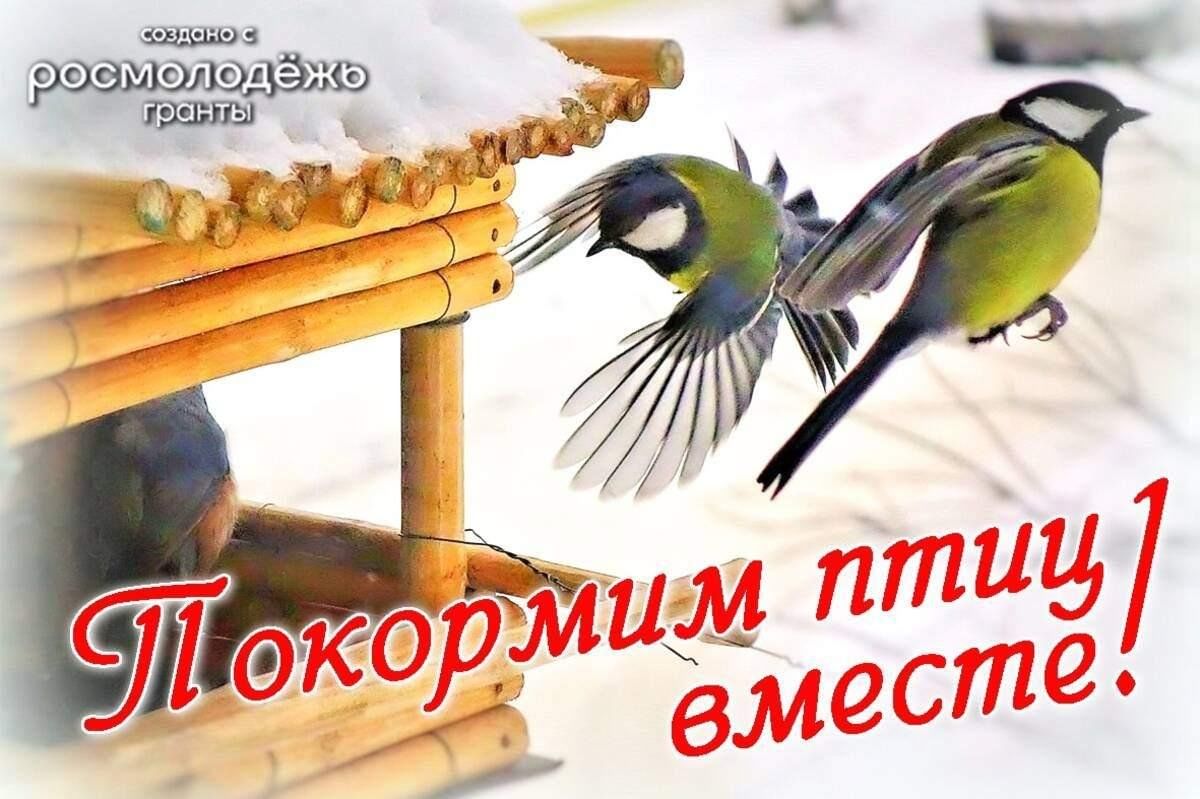 Picture background