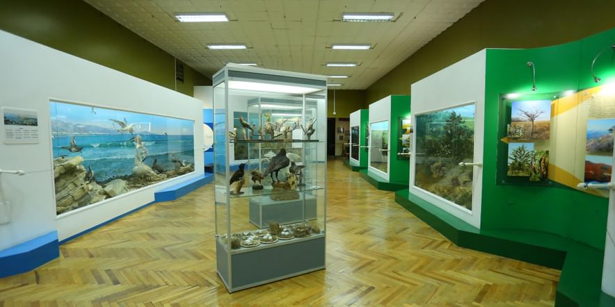 Основное изображение для события Выставка «Природа Новороссийского района. Охрана окружающей среды»
