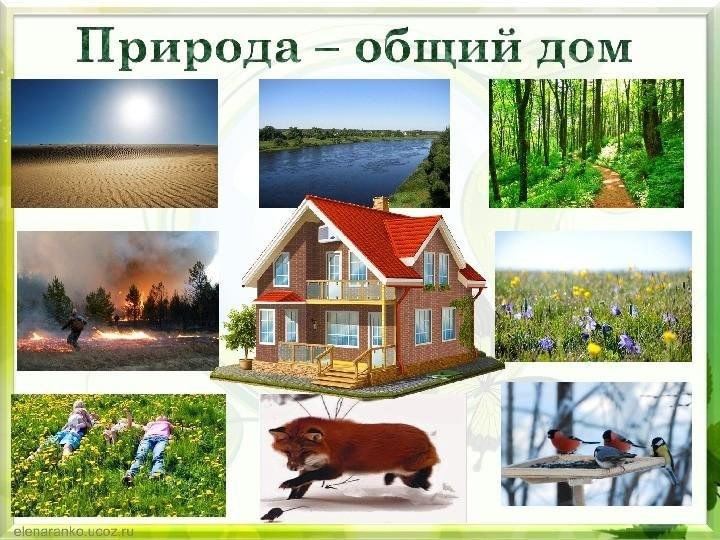 Проект природа наш общий дом