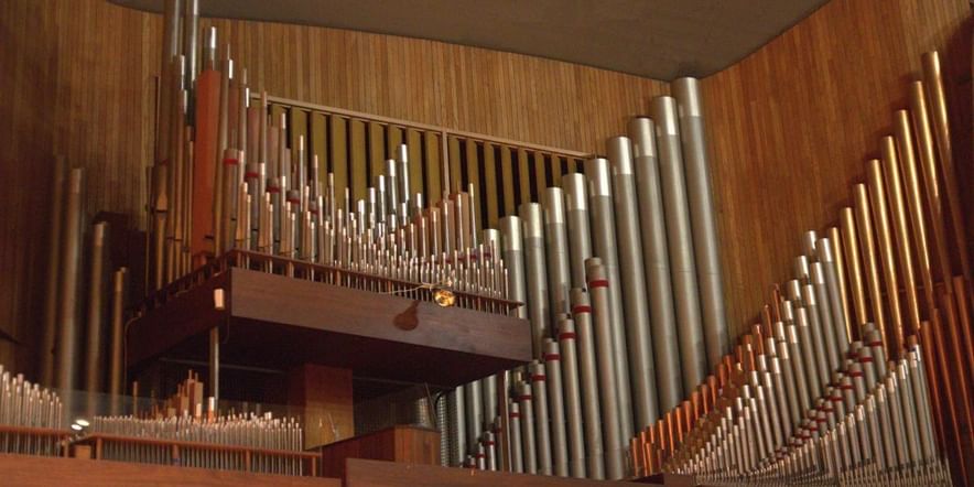 Основное изображение для события Новогодний органный концерт