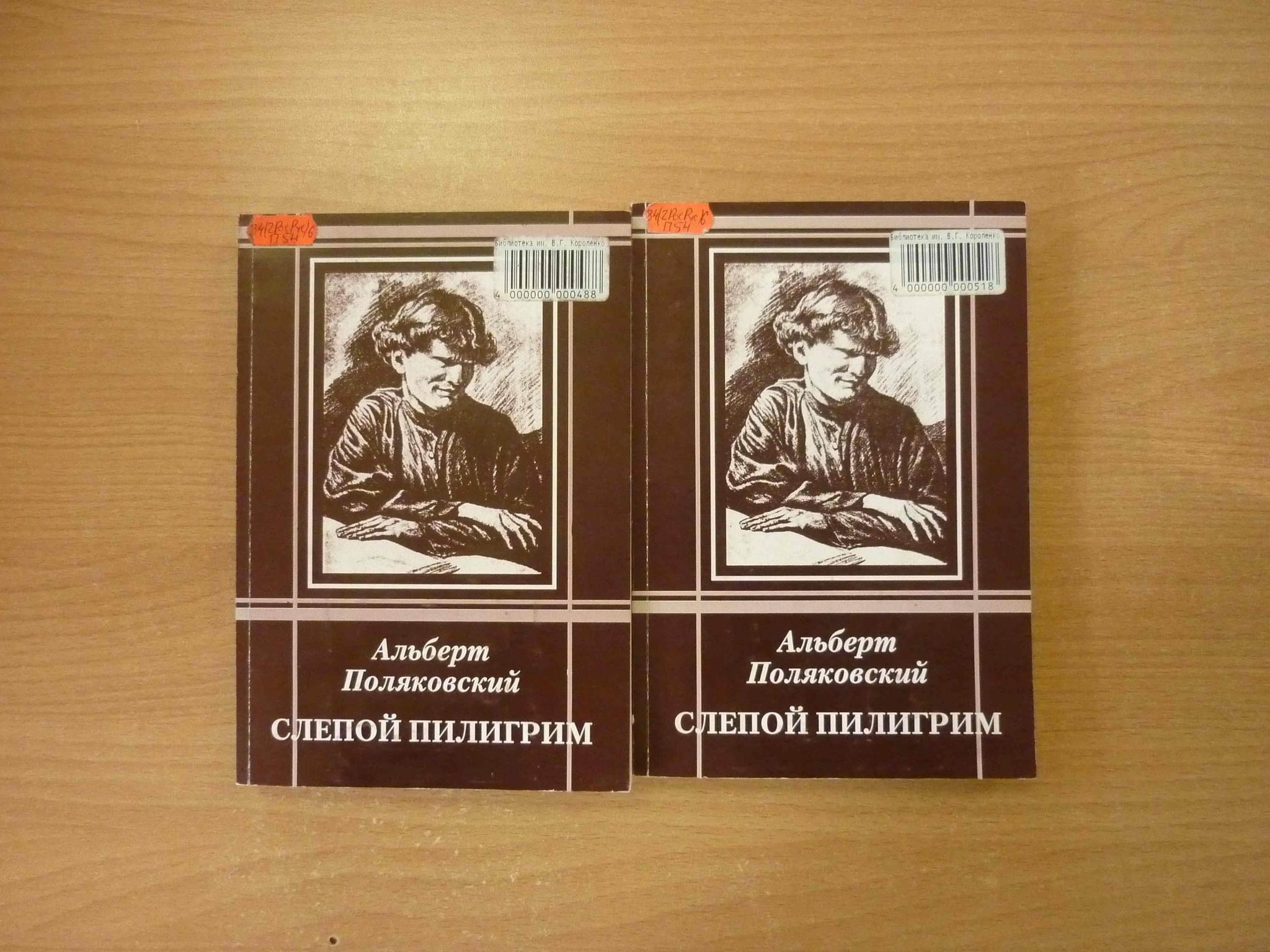 Областная библиотека короленко. Короленко книжная выставка. Название выставки по Короленко. Выставка книг для слепых. В библиотеке кн. выставки в. г. Короленко.