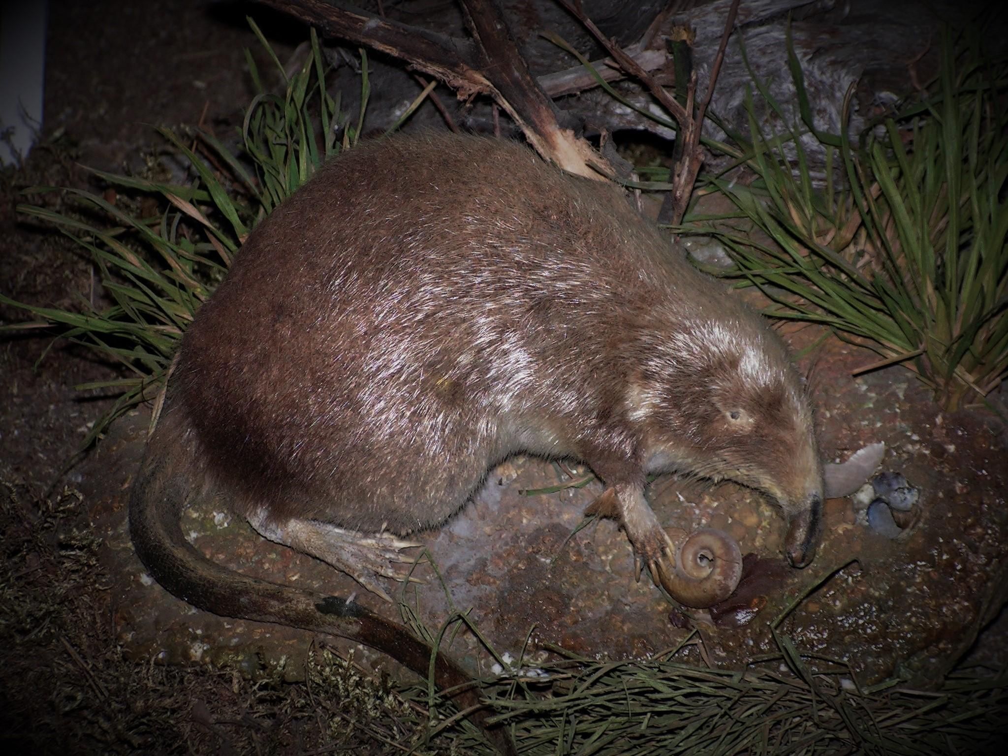 краеведческий музей кострома