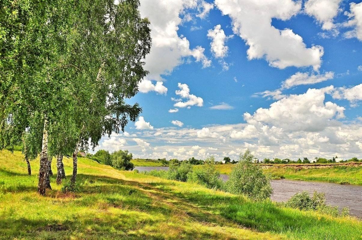 Край земли родной. Российские просторы березы Есенин. Родина Россия. Природа нашей Родины. Россия - моя Родина.